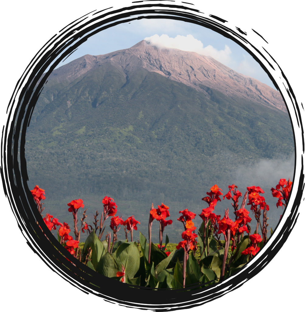 Kokua Creations - Volcano and Flowers help represent strength as well as beauty as they go hand in hand with one another.