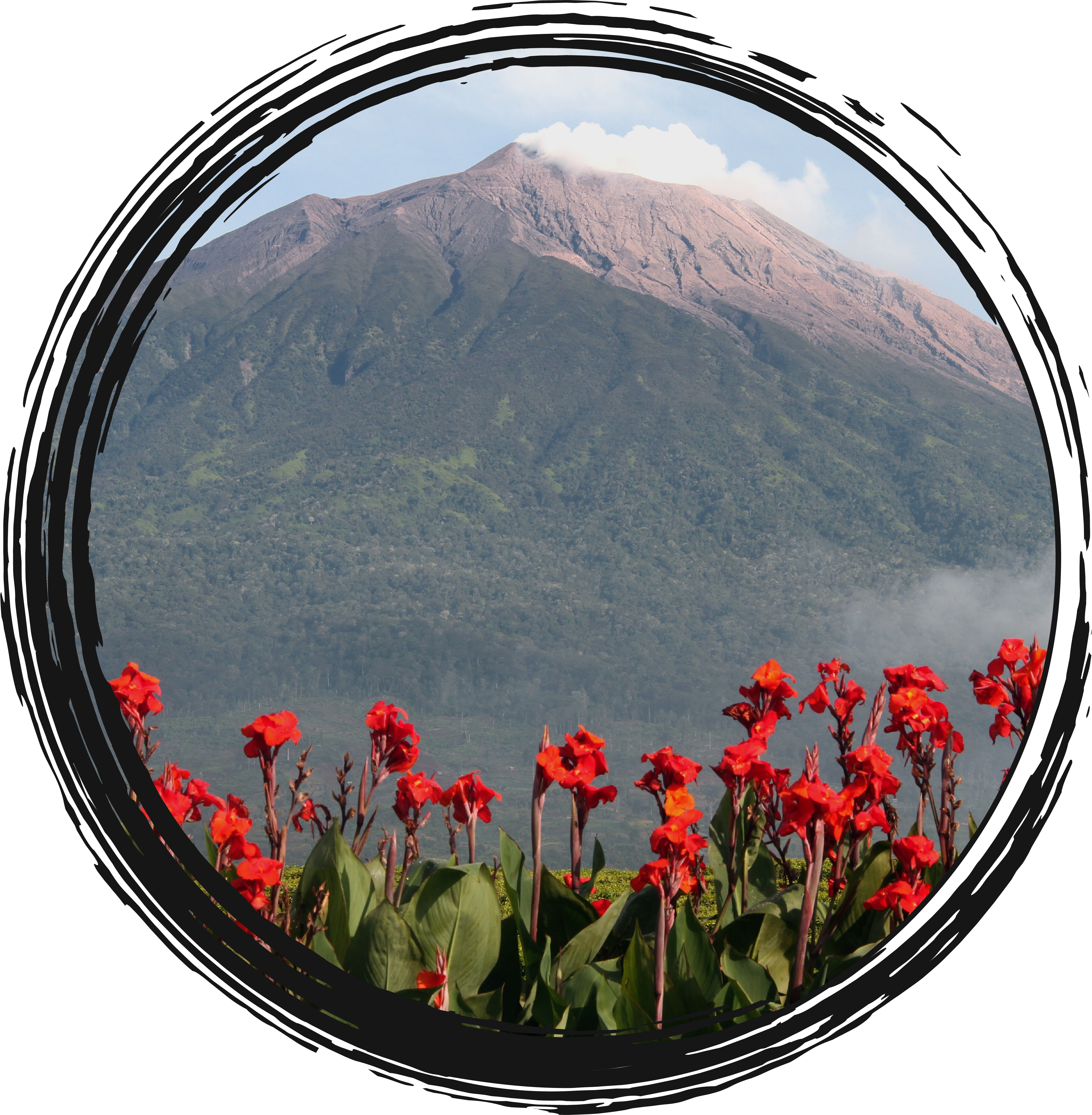 Kokua Creations - Volcano and Flowers help represent strength as well as beauty as they go hand in hand with one another.