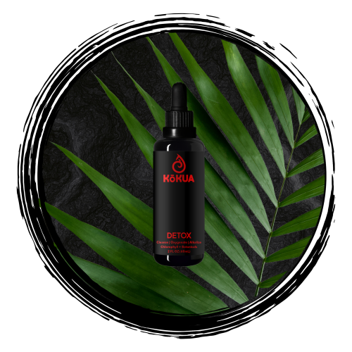 Smaller detox on palm on volcano rock image_black border